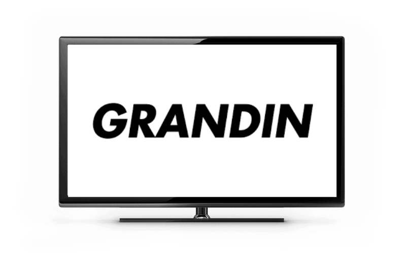 Grandin Neuf Télécommande TV Original Pour Grandin LD22VGB273S 