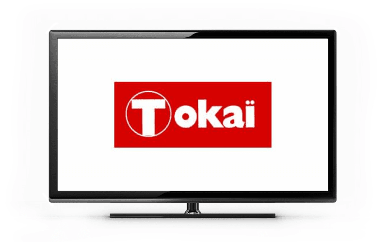 10 Problèmes Connus des TV Tokaï (Expliqués & Résolus !)